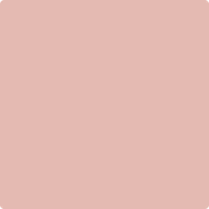 2173-50 Coral Dust