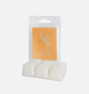 Amber & Rose Wax Melt 6 Pack
