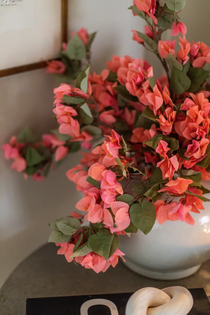 BOUGAINVILLEA CORAL BRANCHES (10)