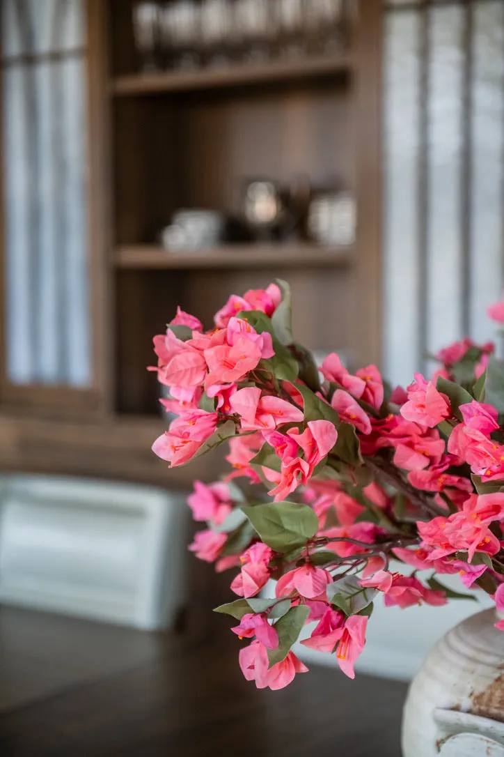 BOUGAINVILLEA CORAL BRANCHES (10)