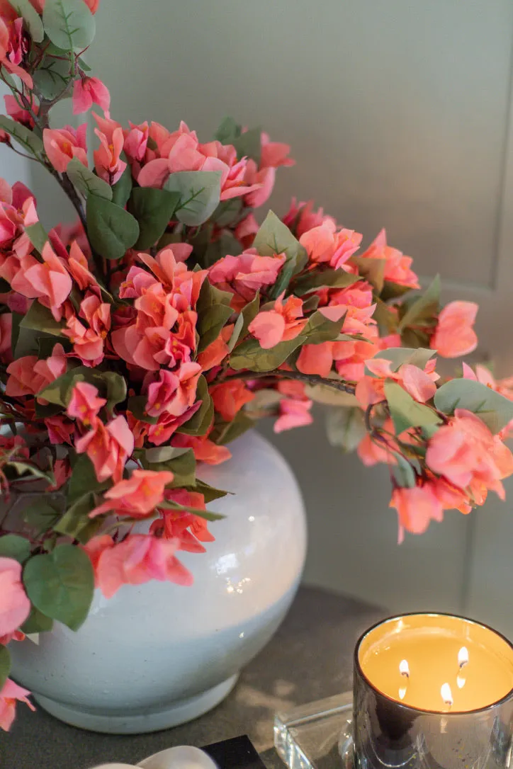 BOUGAINVILLEA CORAL BRANCHES (10)