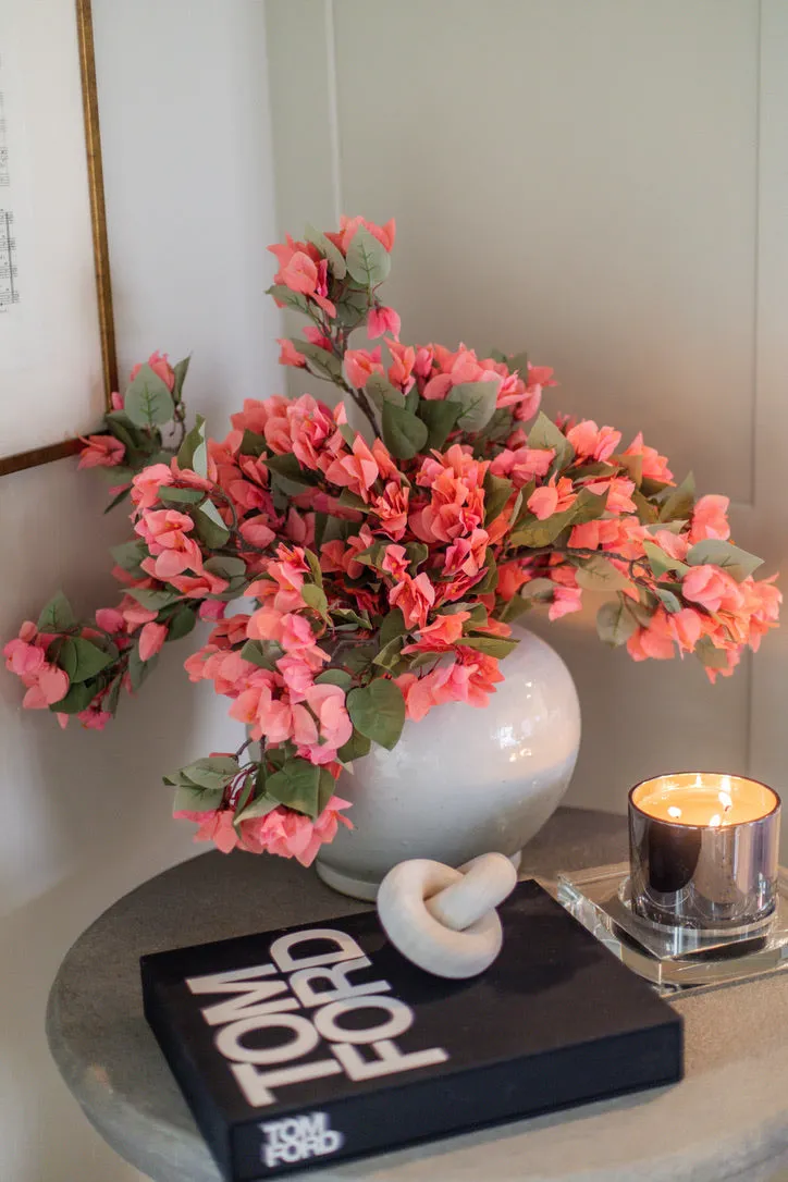 BOUGAINVILLEA CORAL BRANCHES (10)