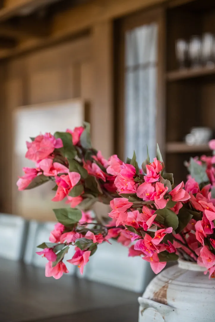 BOUGAINVILLEA CORAL BRANCHES (10)