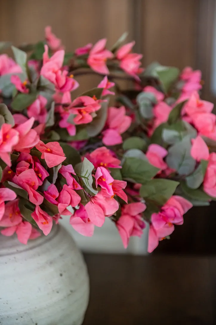 BOUGAINVILLEA CORAL BRANCHES (10)