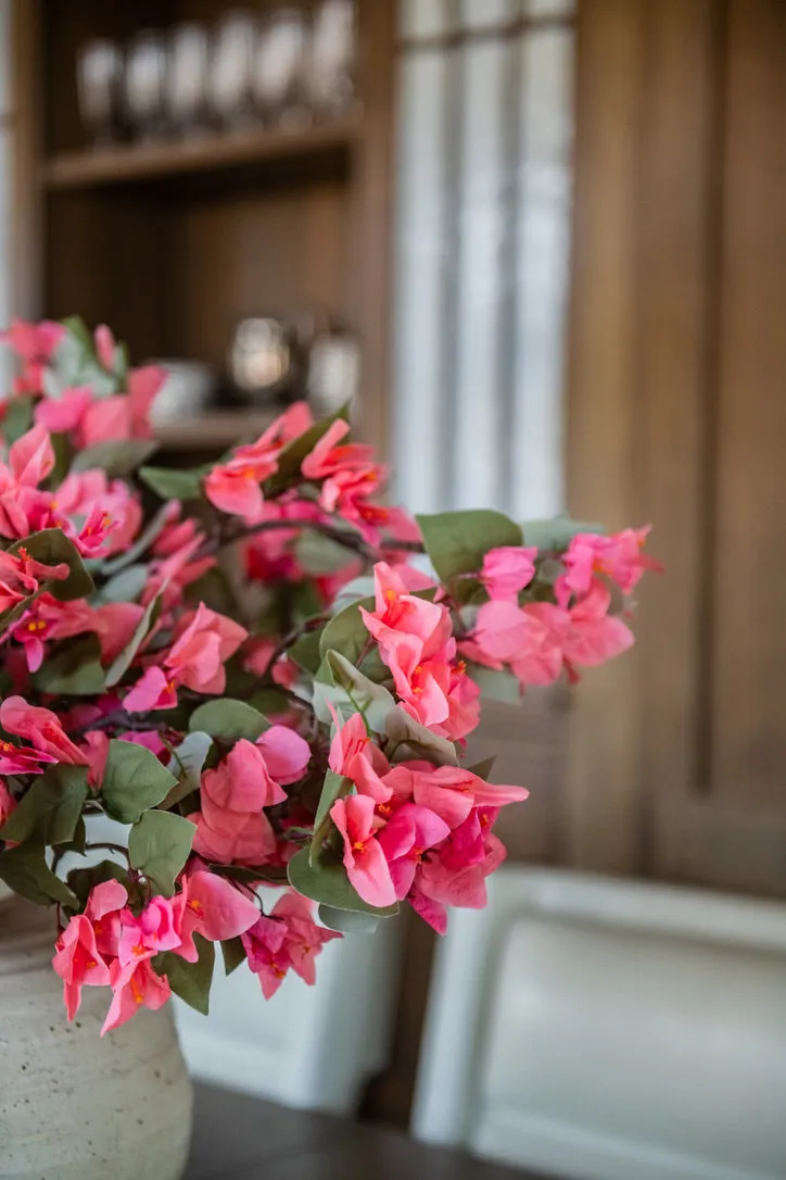 BOUGAINVILLEA CORAL BRANCHES (10)