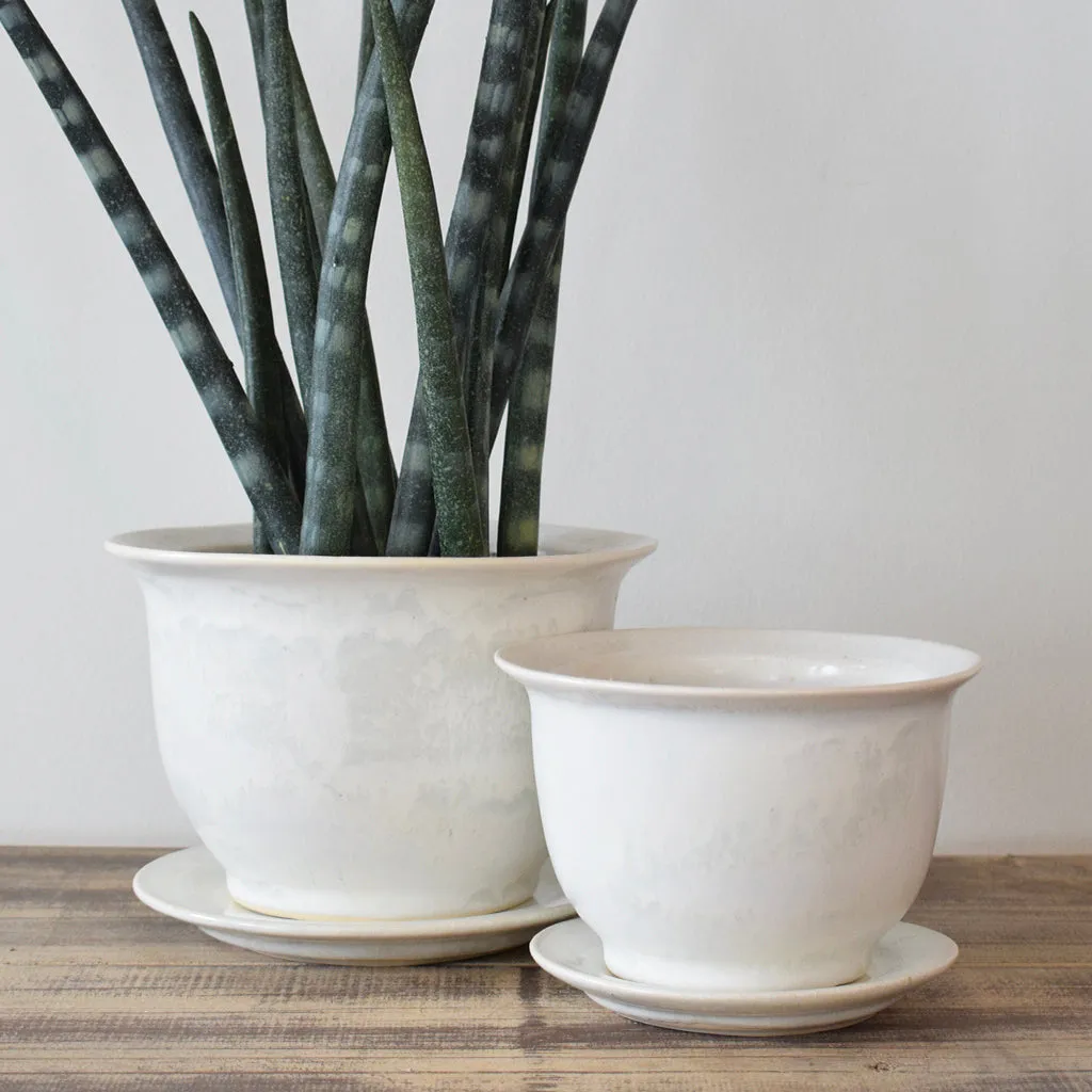 Large Cachet Pot Moonstone