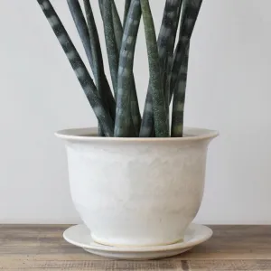 Large Cachet Pot Moonstone