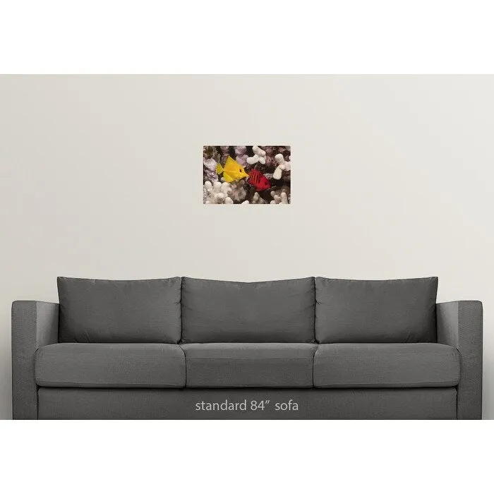 "A Yellow Tang and a Flame Angelfish on a tropical coral reef. Pacific Ocean" Poster Print - Multi
