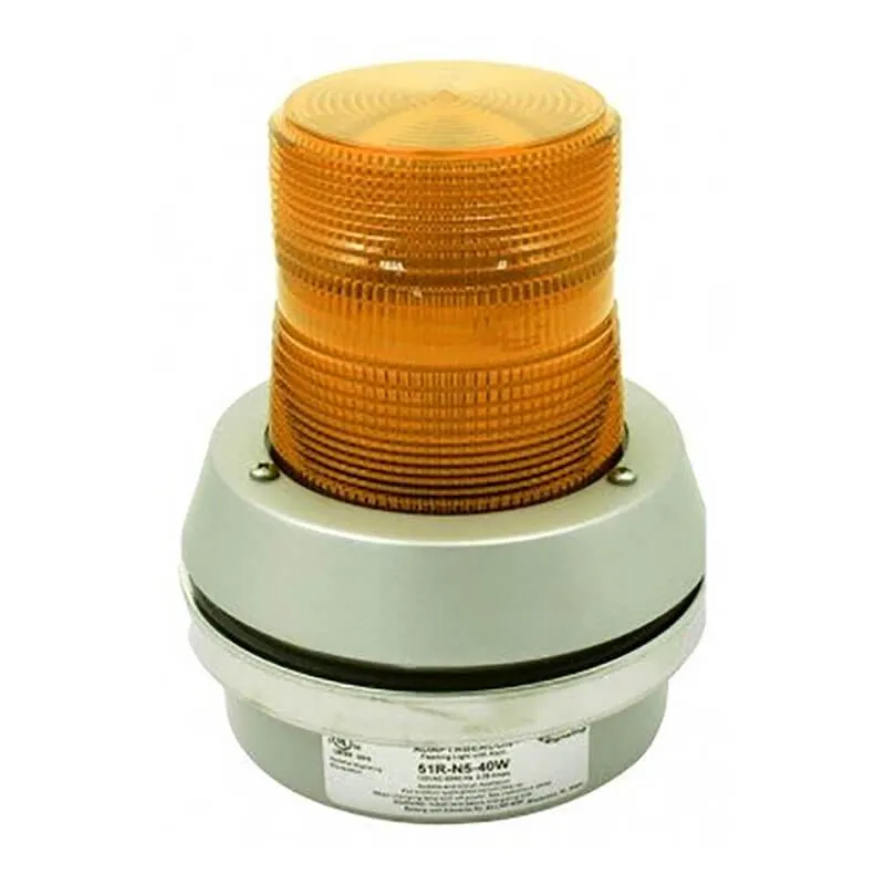 RKI 2 Wire Flashing Alarm Light/Horn, 24 VDC, 40 Watt Lamp