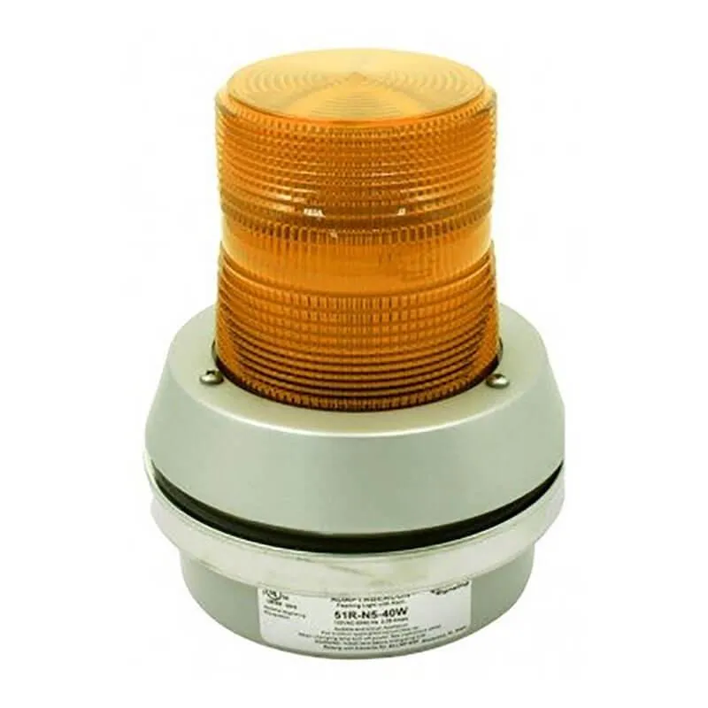 RKI 2 Wire Flashing Alarm Light/Horn, 24 VDC, 40 Watt Lamp